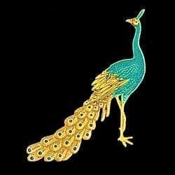 A peacock is standing on the ground.